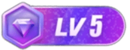 等级-LV5-91源码网