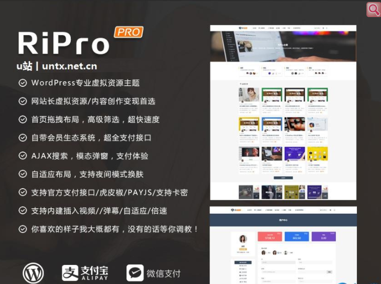 WordPress主题ripro6.1破解授权版+主题包+美化包+操作流程-91源码网