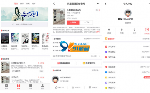 小说聚合网站系统源码 带会员收费机制-91源码网