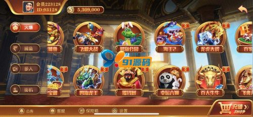 2021最新大富豪电玩城无错运营级别逍遥娱乐,双端完整组件-91源码网