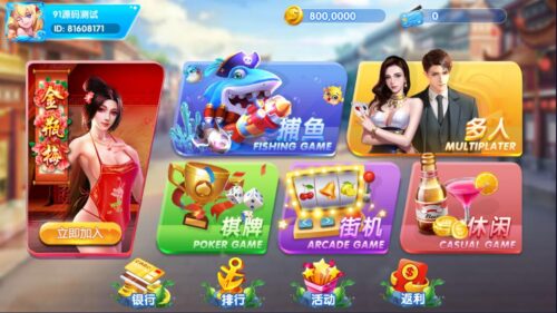 网狐电玩系列27/彩鲸捕鱼电玩城棋牌组件带解密工具/PC控制端-91源码网