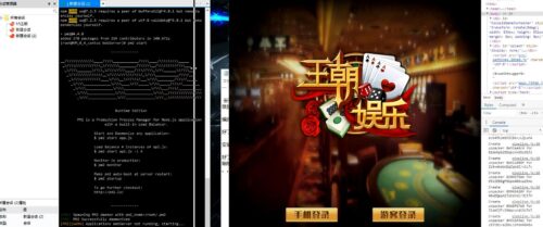 藏宝库王者版/王朝娱乐通用搭建视频教程-91源码网